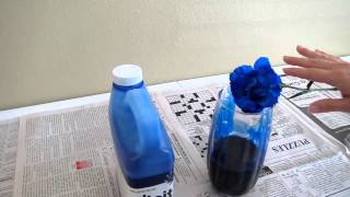 Color Dying Carnations  Dip It [upl. by Stoll]