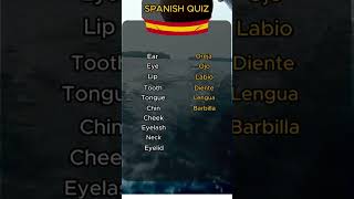 Learn The Body Parts in Spanish El Cuerpo The Body [upl. by Kevina]