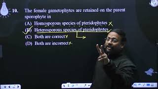 The female gametophytes are retained on the parent sporophyte in [upl. by Rockwood508]