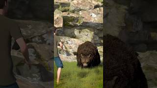 How To Escape A Grizzly Bear Attack 😨  Melon Playground bear [upl. by Lashond628]