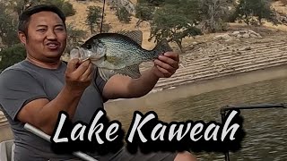 Lake Kaweah Crappies Still Here [upl. by Dorin995]