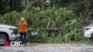 ‘Bomb cyclone’ leaves destruction in its wake [upl. by Gypsy814]