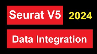 scRNAseq Data Integration in Seurat V5 [upl. by Ledah]