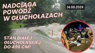 🌧️🌊 GŁUCHOŁAZY  POWÓDŹ 13 i 14092024 [upl. by Yemaj]