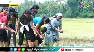 KODAKARA കൃഷി പാഠശാലയുടെ രണ്ടാം ഘട്ടം തുടങ്ങി [upl. by Anrim]