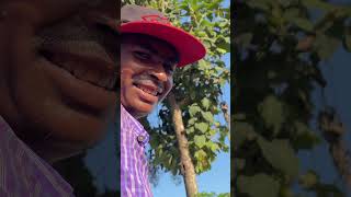 Drip irrigation system  Narendra Nath Vlogs channel [upl. by Brigit]