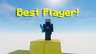 Minecrafts New Best Player [upl. by Ellenad934]