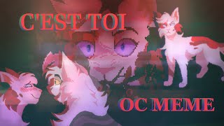 Cest toi  Original meme mini amv [upl. by Nibla]