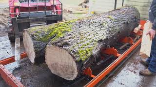 Milling an Incredible 12ft Claro Walnut Log into Slabs [upl. by Thielen]