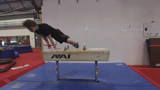 Pommel Horse Bloopers 2019 [upl. by Harolda]