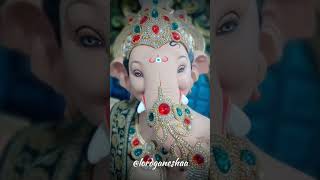 Vighnaharta tu mera 🌺🙏🚩 ganpatibappamorya ganeshchaturthi ganpati ganesh ytshorts shorts [upl. by Jena128]