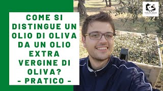 La differenza tra olio di oliva e olio extravergine di oliva Video pratico [upl. by Justina30]