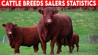 ⭕ Cattle Breeds SALERS STATISTICS ✅ Cattle SALERS  Bulls SALERS [upl. by Sitsuj402]