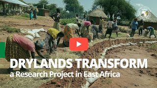 Drylands Transform a Research Project in East Africa [upl. by Liddy]