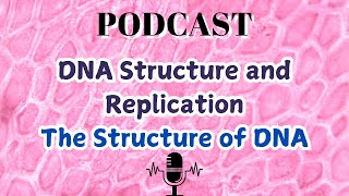 DNA Structure and Replication The Structure of DNA [upl. by Pelaga]