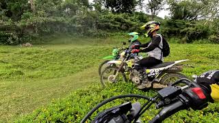 Serow 225 vs KLX 150 vs CRF 150 Fast trail fun [upl. by Gnehp]