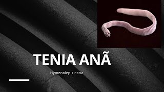 Tenia Anã Hymenolepis nana [upl. by Tymon438]