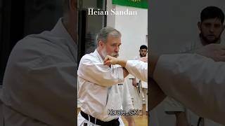 Heian Sandan kata bunkai Dormenko Sensei karate martialarts [upl. by Aleek514]