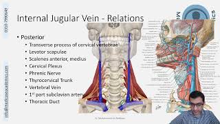 Veins of Head amp Neck [upl. by Ernestus174]