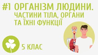 Організм людини Частини тіла органи та їхні функції 1 [upl. by Nosidda]