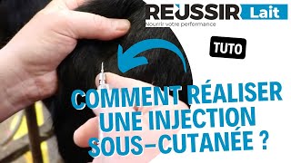 TUTO Comment réaliser une injection souscutanée [upl. by Anneis]