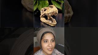 Can you guess the skeleton tamallureaction reactionvideo guessinggame shortsfeed viral [upl. by Allecsirp]