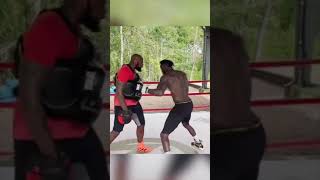 The FEROCIOUS BodyPunching of Deontay Wilder… 🥊 [upl. by Laoj305]