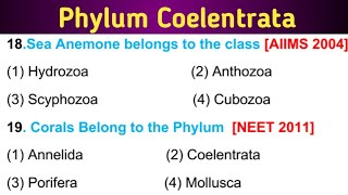 Phylum Coelenterata  11 class Biology preparations [upl. by Anaer479]