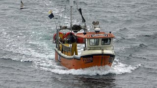 Fishing boat quotKingfisher IIquot coming home Cadgwith Cove Cornwall May 2022 [upl. by Annayek]