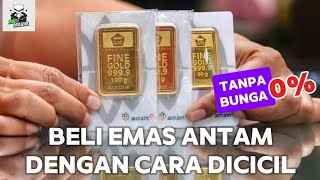 Cicil Beli Emas Batangan ANTAM Tanpa Bunga Pakai PayLater Part1 [upl. by Arbrab]