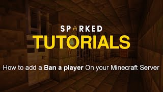 How to ban a player on your Minecraft server [upl. by Giltzow370]