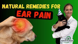 Natural Remedies For Treating Ear Pain In Dogs And Cats [upl. by Alarise]