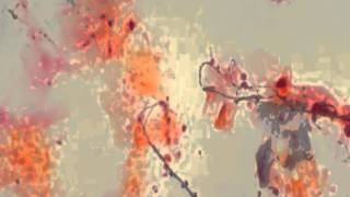 Candidiasis and Candida Albicans Video [upl. by Kolnick]