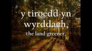 Angel  Tecwyn Ifan geiriau  lyrics [upl. by Thompson581]