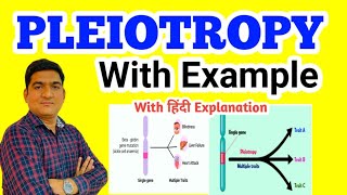 PLEIOTROPY  Principles of Inheritance and Variation pleiotropy genetics [upl. by Ahcire926]