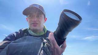 Birding with Adam Shorebirds in the Marsh [upl. by Loise713]