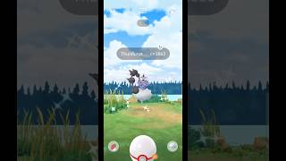 Getting Lucky With✨Shiny Thundurus Raid in pokemongo [upl. by Nickey]