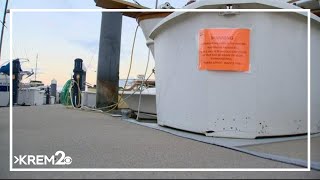 Otter attacks child drags them underwater at Bremerton Marina [upl. by Eiralih]