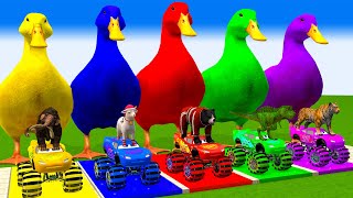 5 Giant Duck Monkey Piglet chicken dog cat cow Sheep Transfiguration funny animal 2023 [upl. by Alby]