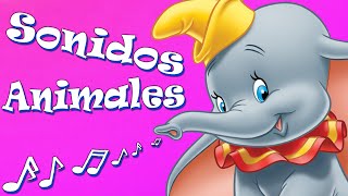 SONIDOS DE ANIMALES PARA NIÑOS Y BEBÉS  VERSIÓN IMÁGENES [upl. by Aihset]