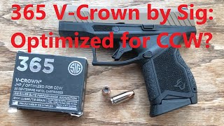 115 grain 9mm Taurus GX4 Short Barrel Ballistic Test 2 Sig VCrown 365 [upl. by Appolonia]