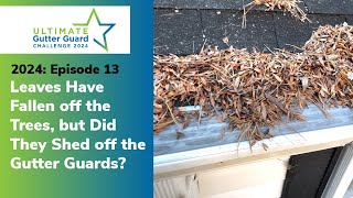 Leaves Have Fallen off the Trees but Did They Shed off the Gutter Guards 2024 EP13 [upl. by Redlac729]