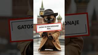 ¡Gatos Espías Contra la KGB😱🐾short gatos historiasreales [upl. by Stewart]