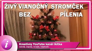 Vianočný stromček živý stromček ktorý nemusíte píliť [upl. by Duston]