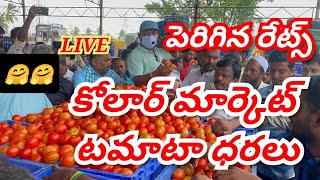 13092024 kolar tomato market ratetoday Kolar tomato market price kolartomatomarkettomato [upl. by Yltsew]