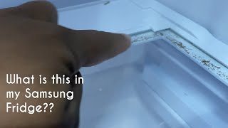 How to Remove and Clean the Glass Shelf For the Samsung 3 Drawer Refrigerator [upl. by Niuq541]