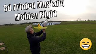 3d Lab Prints P51D Mustang  1st Flight [upl. by Skye]