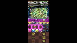 PAD 關卡  裏．神秘の次元 Battle 2 [upl. by Jaf]