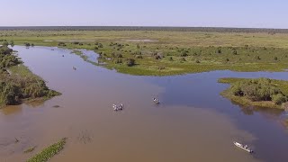 Pescaria de Piau no Pantanal  Programa Hora da Pesca  Pousada Reserva do Pantanal [upl. by Nemad]