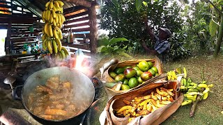 Asi se pasa un dia en el campo de Republica Dominicana [upl. by Northway]